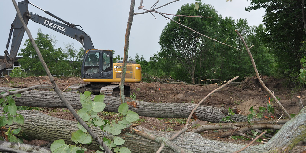 House Lot Clearing